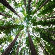 medium helderziende Natasha- Hi, ik ben er voor jou voor als jij even de bomen door het bos niet meer ziet staan. Ik zet jou graag in je volle kracht en eigen energie stel jezelf a.u.b. ook open voor mij. Alleen dan kunnen wij samen kijken wat voor advies bij jou past en wat jouw toekomst jou mag brengen. Ik help je zeer graag bij een rouwproces of gemis van een dierbare. Wellicht mag ik wel een mooie boodschap aan u doorgeven. Mijn doel is om jou met een glimlach en inzicht achter het scherm vandaan te laten gaan en dat jij verder kunt met mijn inzichten. Bel  met onze mediums en helderzienden. Helderziende en medium hulplijn waar een   helderziende  en medium je    inzicht en    antwoorden geeft. Bij aanmaak van een gratis account, ontvangt u 4 gratis minuten bij eerste kredietoplading om op te bellen met een   helderziende of medium.